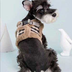 Dog Harness & Leash Set